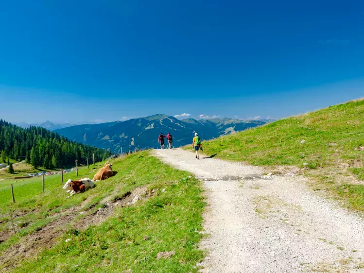 Wandelaars in Bischofshofen in Oostenrijk