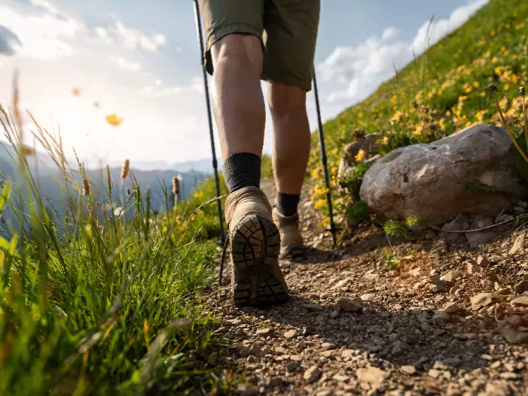 AT-Algemeen wandelen in de bergen