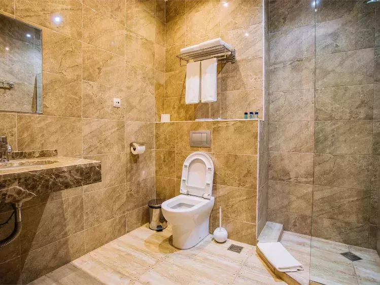 Hotel Sno Kazbegi Sno voorbeeld badkamer