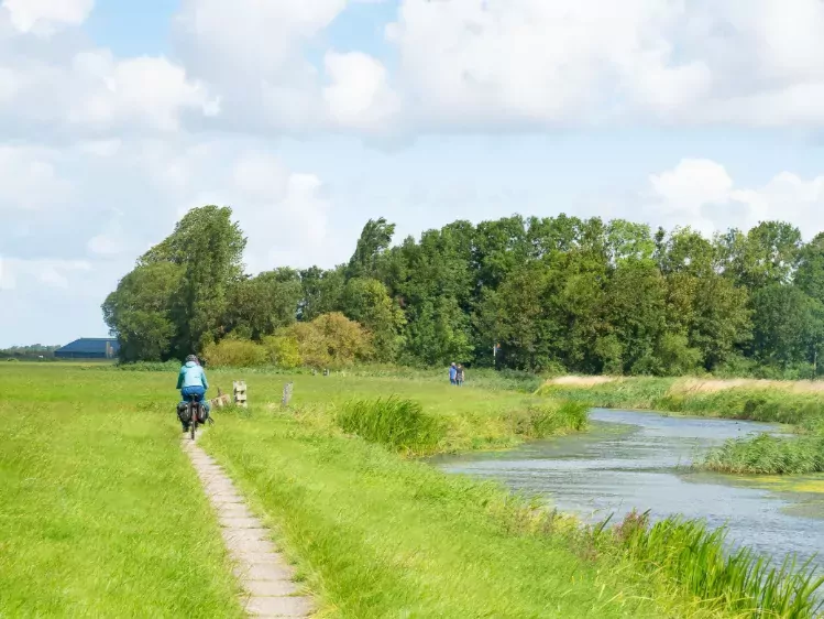 Fietser in Friesland