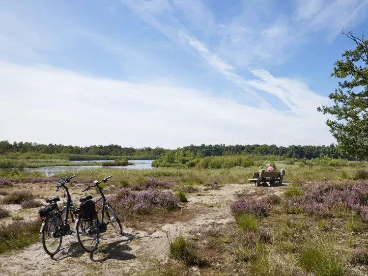 Fietsers in Oirschotse Heide in Boxtel 