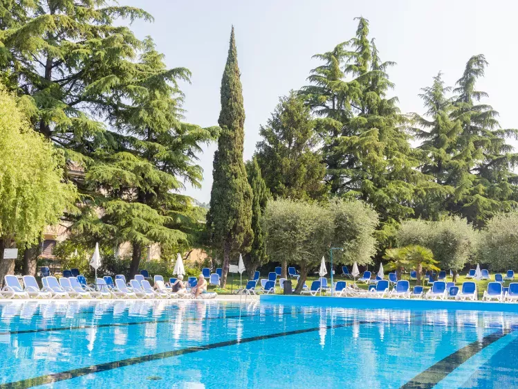 Zwembad van Hotel Palme & Suite in Garda