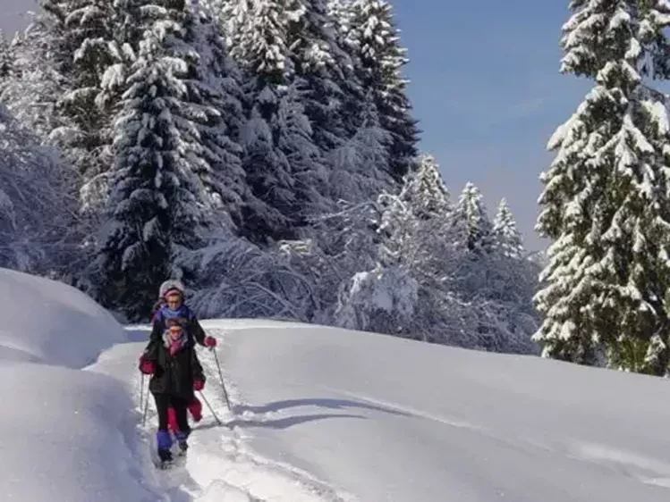 sneeuwwandelen-bregenzerwald