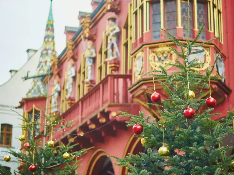 Kerstbomen in Freiburg