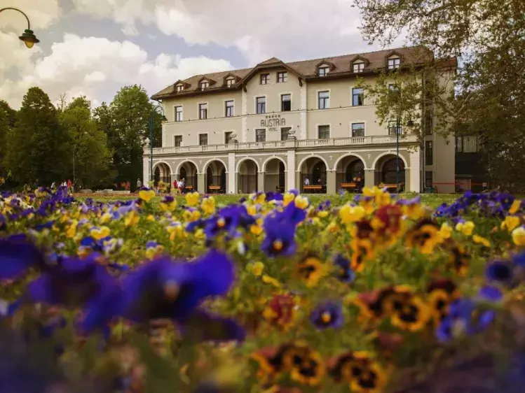 Vooraanzicht van Hotel Austria & Bosna