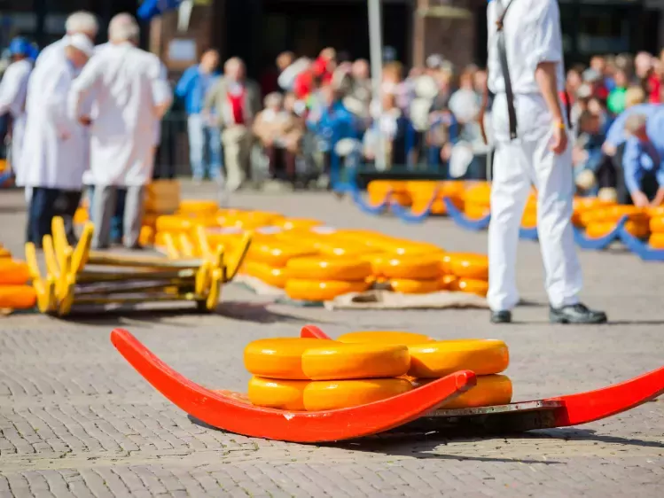 Kaasmarkt in Gouda