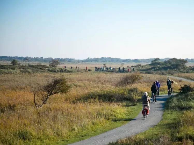 Fietsen omgeving hotel van der Werff