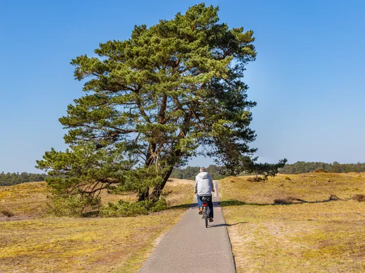 Fietser in Nationaal Park de Hoge Veluwe