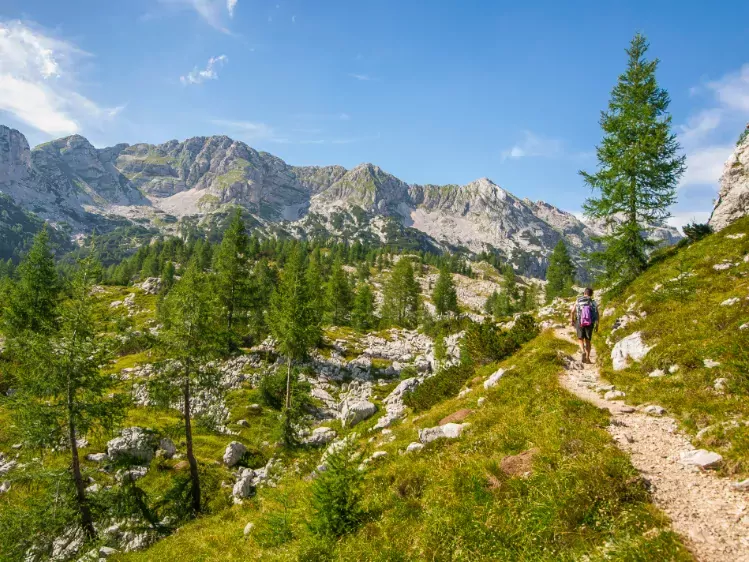 Wandelaar in de Julische Alpen in Slovenië