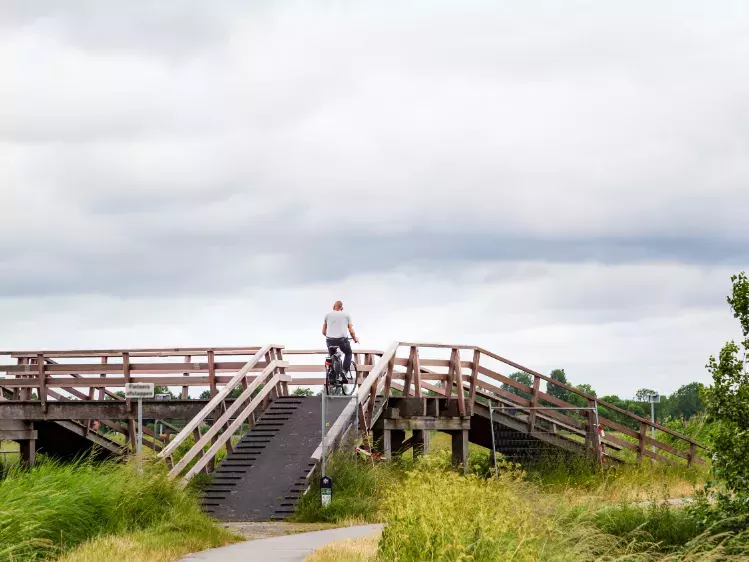 Fietser op de brug in Nationaal Park Weerribben Wieden