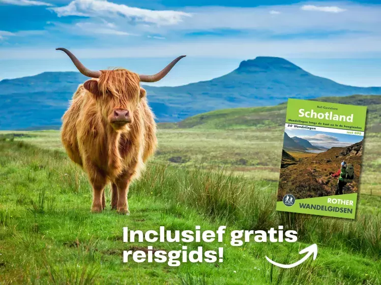 Schotse hooglander KWBN reisgids
