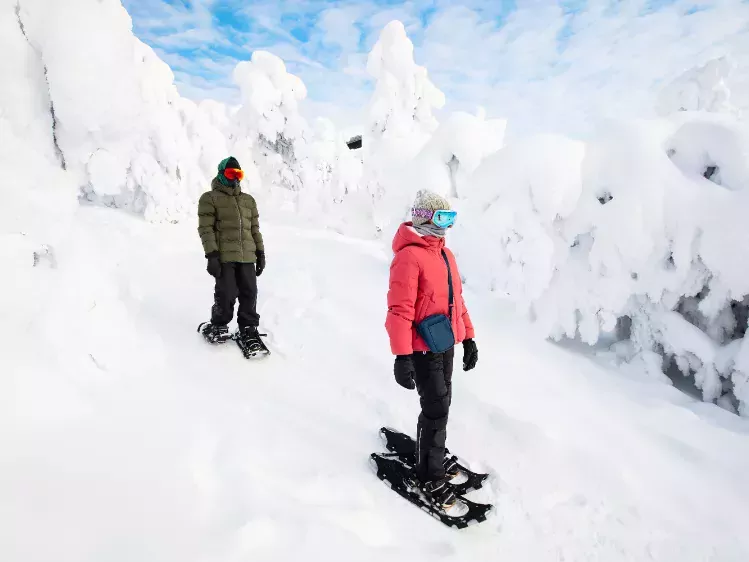 FI-Lapland sneeuwschoenwandeling
