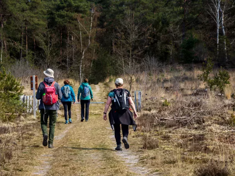 Wandelaars in het bos in Drenthe