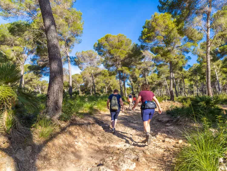 Wandeldag 3 in Mallorca - Puig de s'Aguila Capdeper