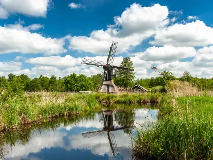 Molen in Nationaal Park Weerribben - Wieden