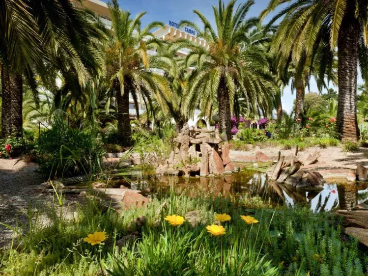 Hôtel Campo Dell'Oro - Tuin