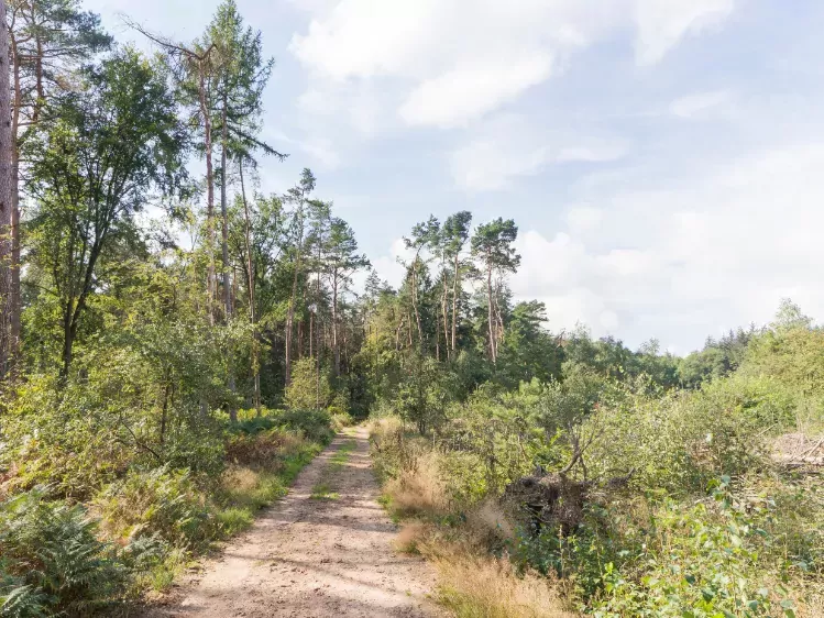 Hettenheuvel in Montferland