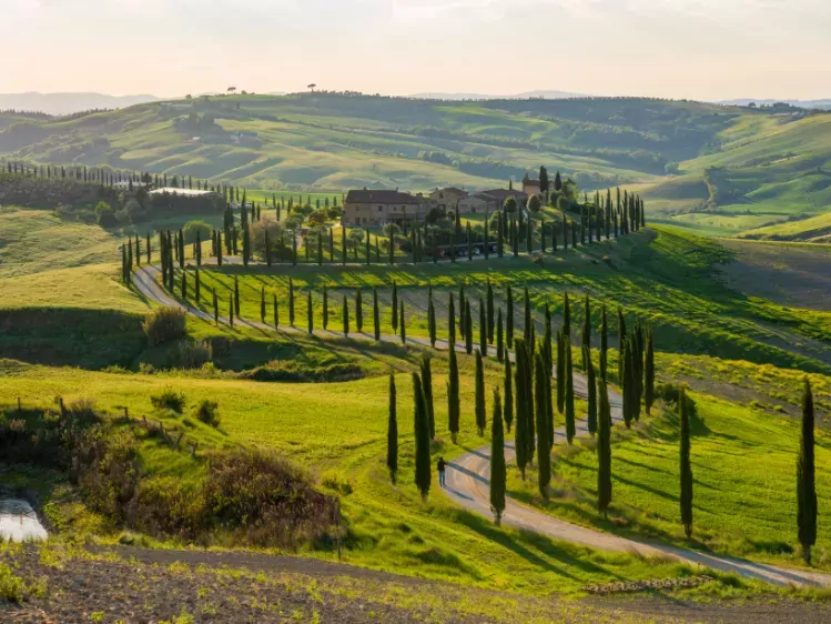 Heuvellandschap in Toscane