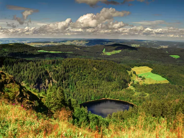 Heuvellandschap van het Zwarte Woud in Duitsland