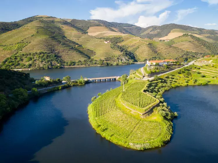 Wijngaarden in Douro Vallei