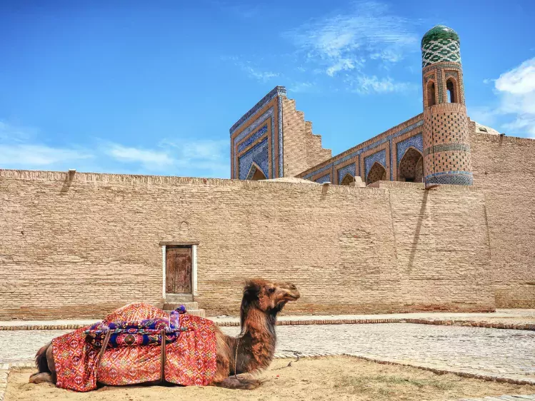 Kameel in Khiva
