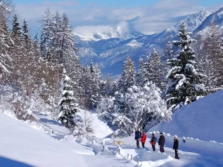 Wildschönau Oostenrijk Sneeuwwandelen
