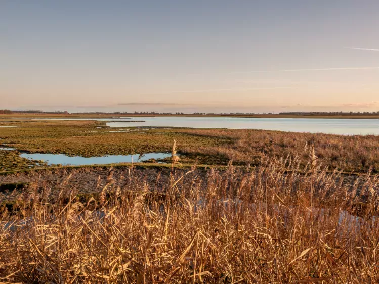 Open water heides in Lauwersmeer Nationaal Park