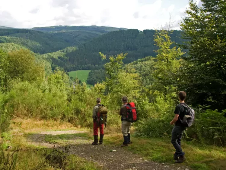 Wandelaars in de Ardennen