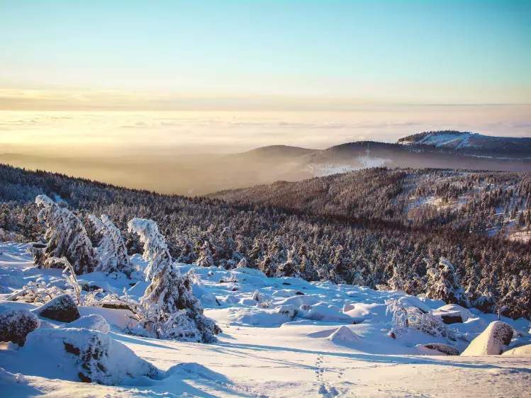 Winterlandschap van de Harz in Duitsland