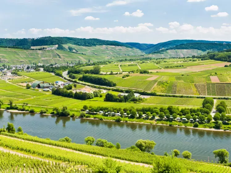 Rivier de Moezel in Duitsland