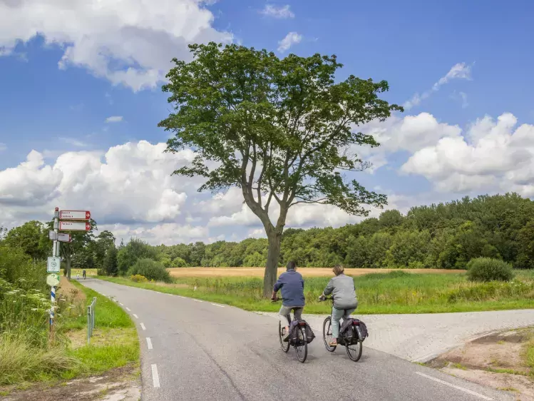 Fietsers in Balloerveld in Drenthe