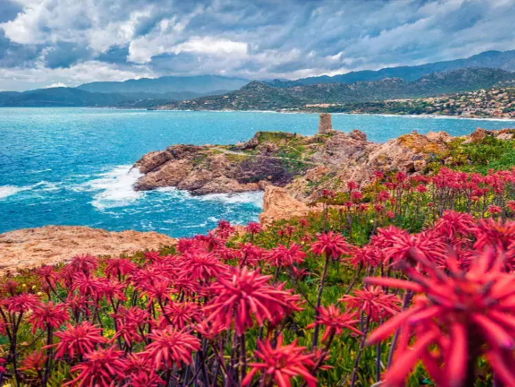 Corsica