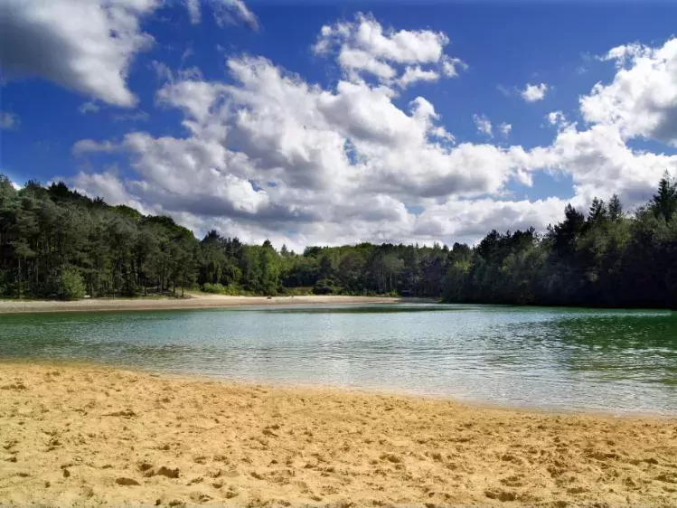 Omgeving Hotel de Koekoekshof