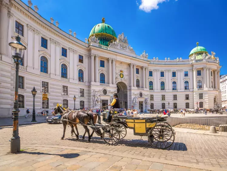 Paard en koets bij de Hofburg in Wenen