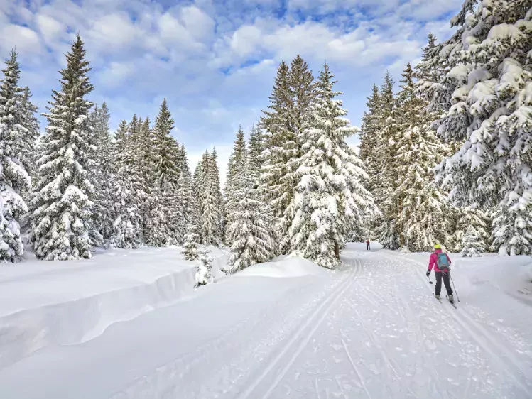 Langlaufen in Szklarska Poreba