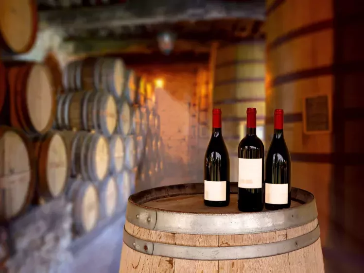 Portugal Douro bezoek wijnkelder