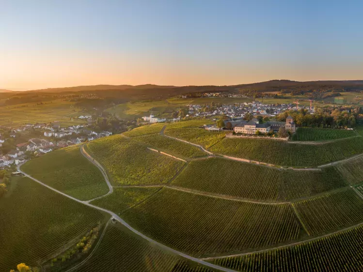 Schloss Johannisberg in Duitsland