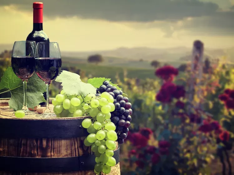 Italië - wijn proeverij