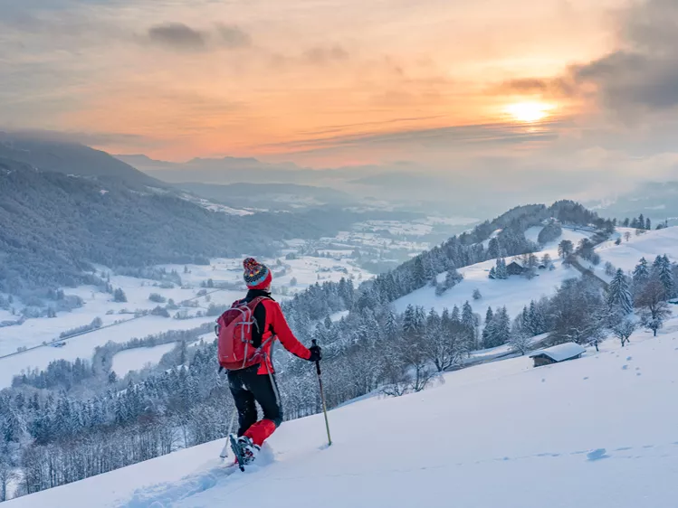 Sneeuw wandelen Bregenzerwald, Vorarlberg, Oostenrijk