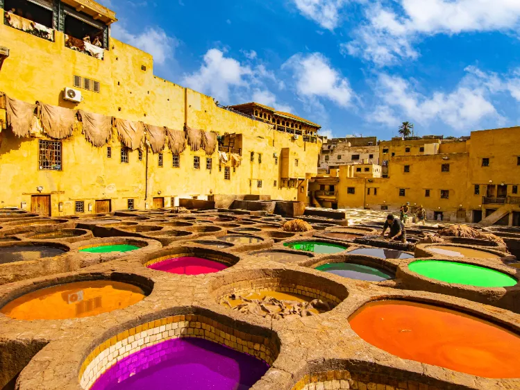 Fez Tannery