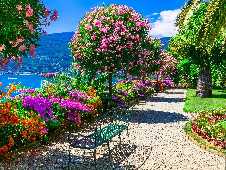 Italië - Lago di Trasimeno - Isola Maggiore 