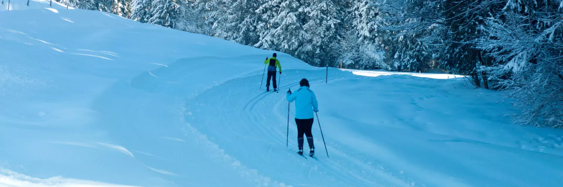 skien in Beieren, Scheidegg, Duitsland