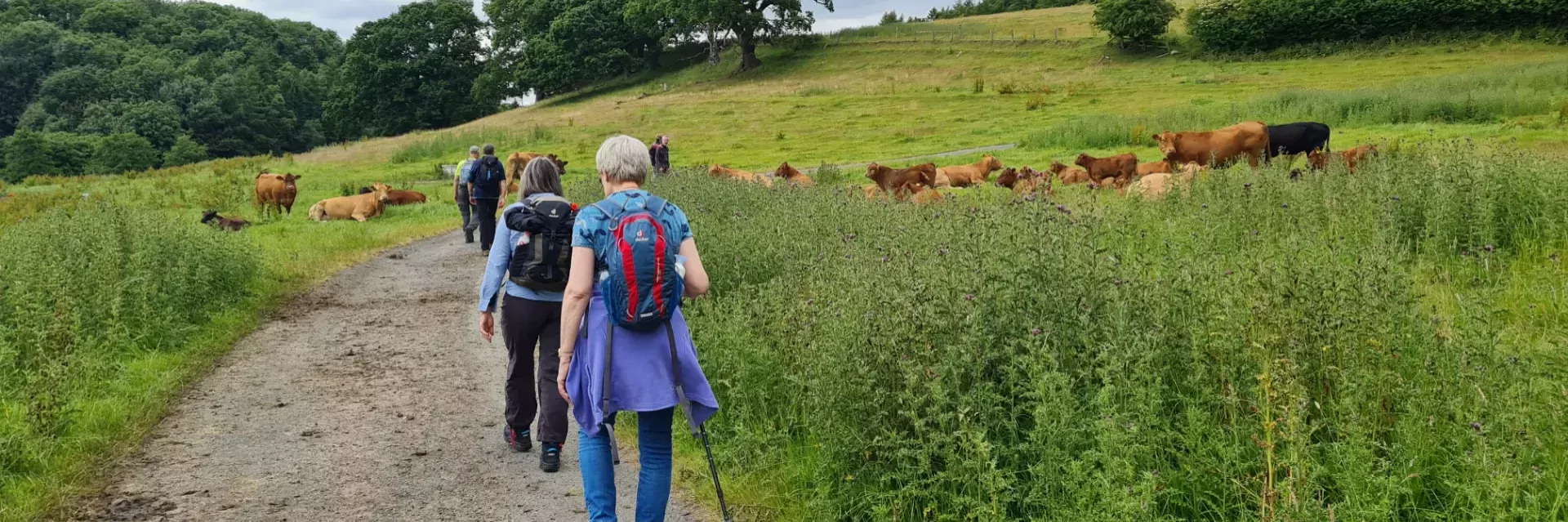 North York Moors Engeland