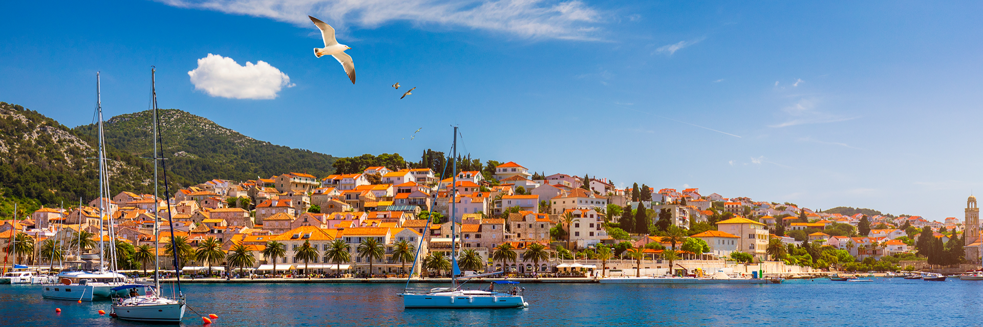 Hvar Island near Dubrovnik and Korcula and Dalmatische Kust in Kroatië 