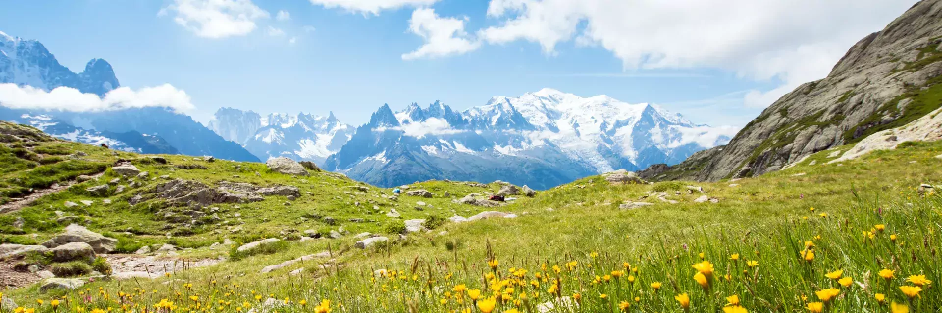 De Franse Alpen met de Mont Blanc