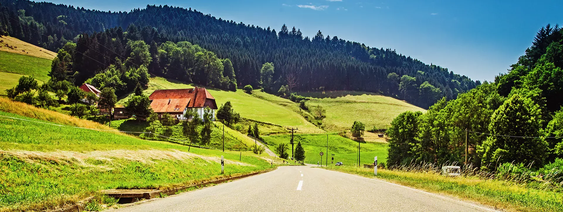 zwarte woud in duitsland 1920x813.webp