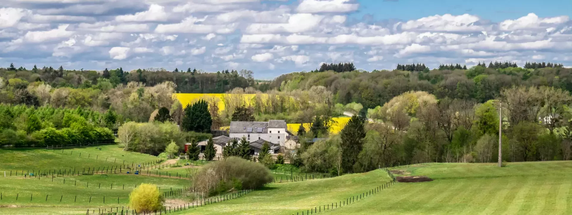 Weilanden in de Belgische Ardennen, België 3