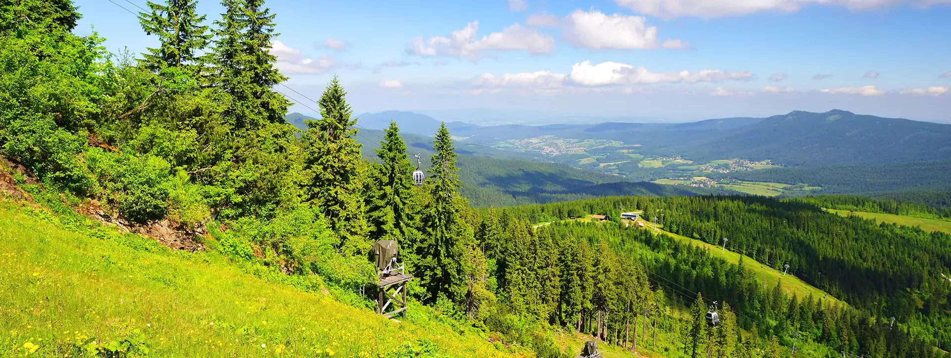 Hoofdbeeld Duitsland Bayerse Woud landenpagina