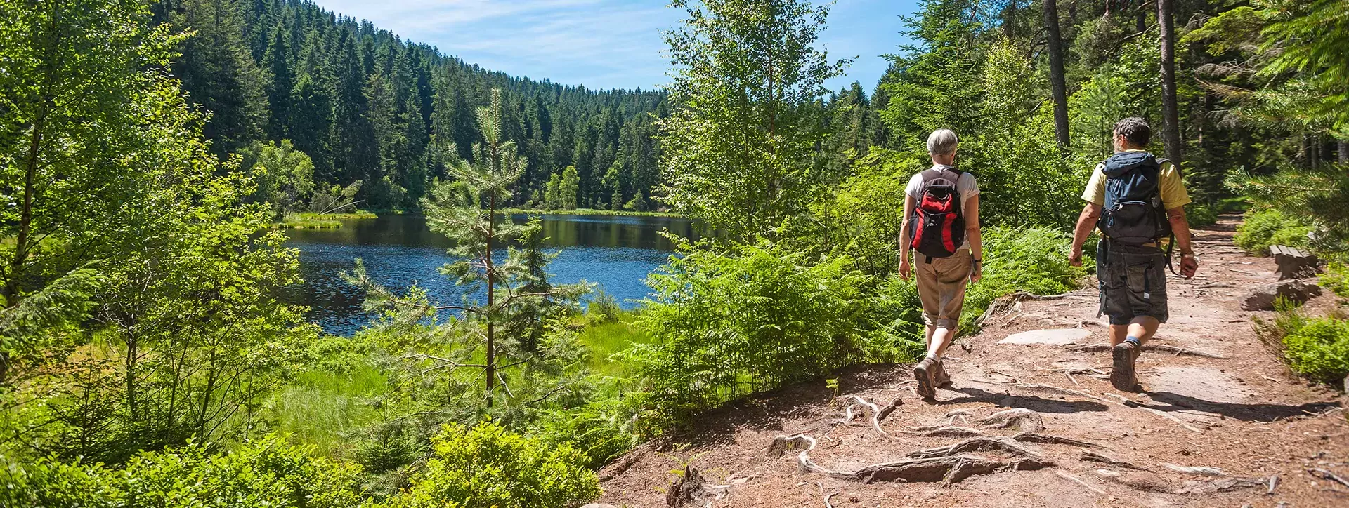 Zwarte Woud wandelaars