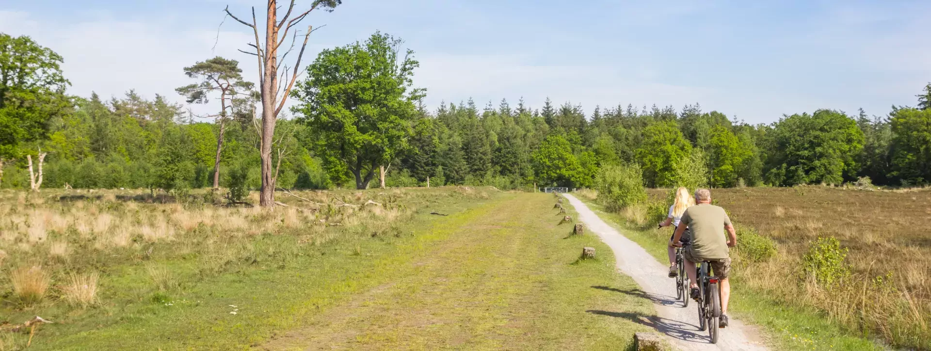 Fietsers door het natuurgebied in Drenthe